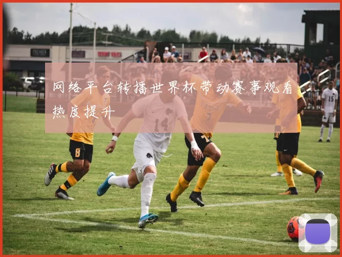 网络平台转播世界杯带动赛事观看热度提升
