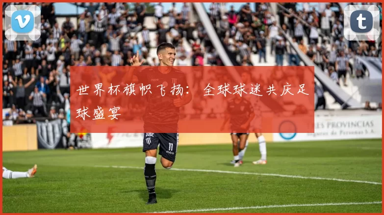 世界杯旗帜飞扬:全球球迷共庆足球盛宴