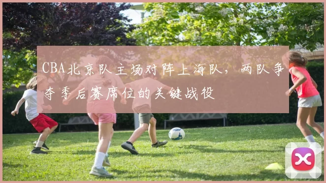 CBA北京队主场对阵上海队，两队争夺季后赛席位的关键战役