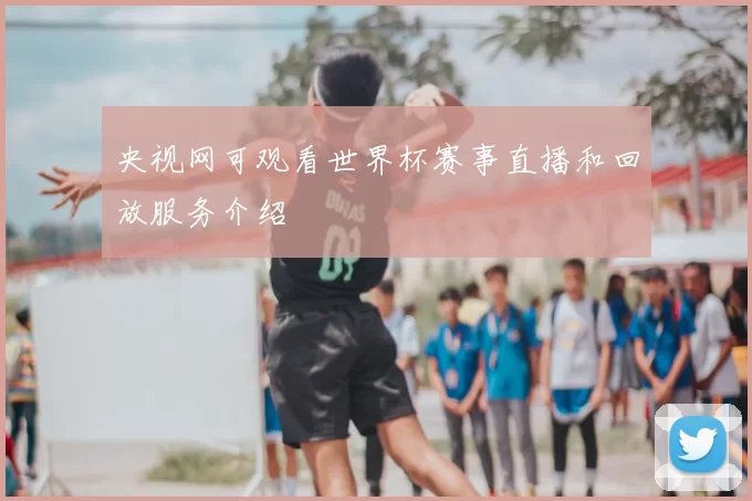 央视网可观看世界杯赛事直播和回放服务介绍