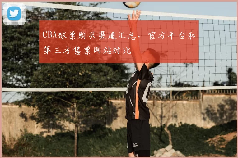 CBA球票购买渠道汇总，官方平台和第三方售票网站对比