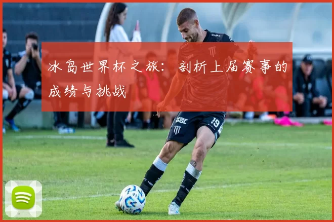 冰岛世界杯之旅：剖析上届赛事的成绩与挑战