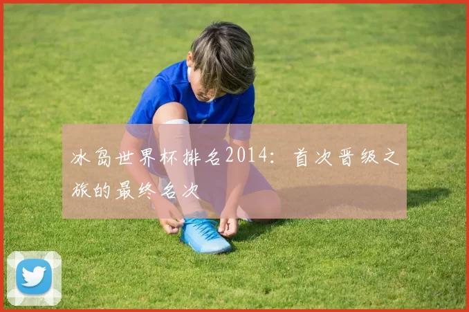 冰岛世界杯排名2014：首次晋级之旅的最终名次