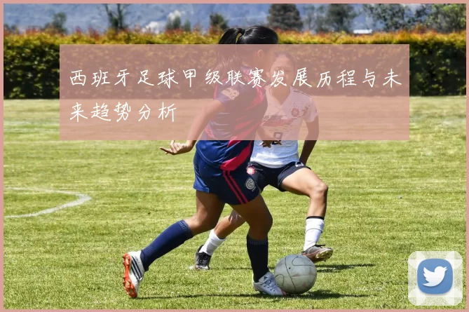 西班牙足球甲级联赛发展历程与未来趋势分析