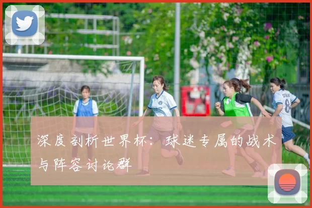 深度剖析世界杯：球迷专属的战术与阵容讨论群