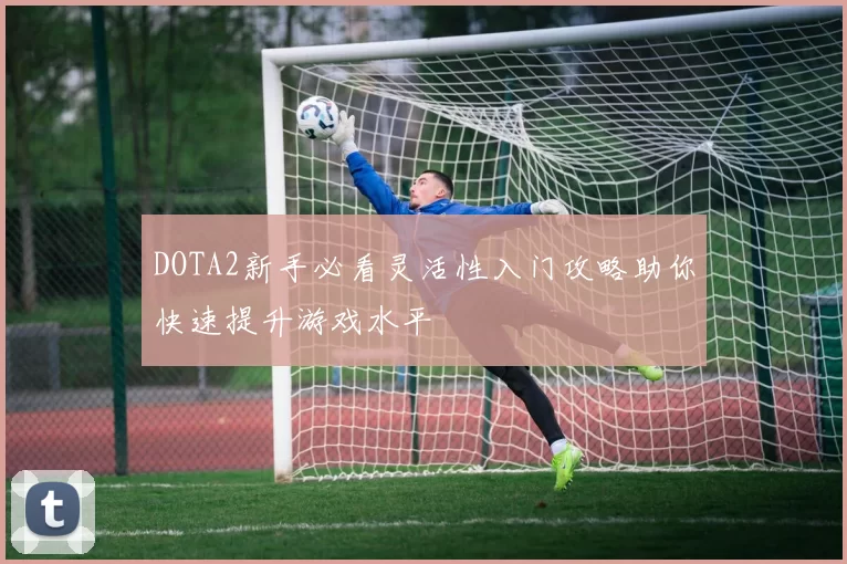DOTA2新手必看灵活性入门攻略助你快速提升游戏水平