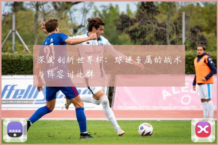 深度剖析世界杯：球迷专属的战术与阵容讨论群