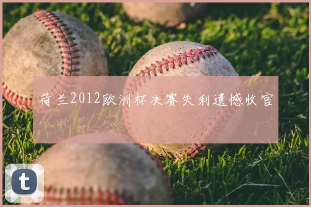 荷兰2012欧洲杯决赛失利遗憾收官