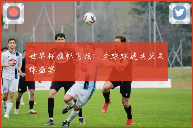 世界杯旗帜飞扬:全球球迷共庆足球盛宴