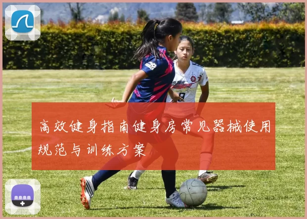 高效健身指南健身房常见器械使用规范与训练方案