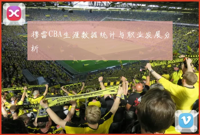 穆雷CBA生涯数据统计与职业发展分析