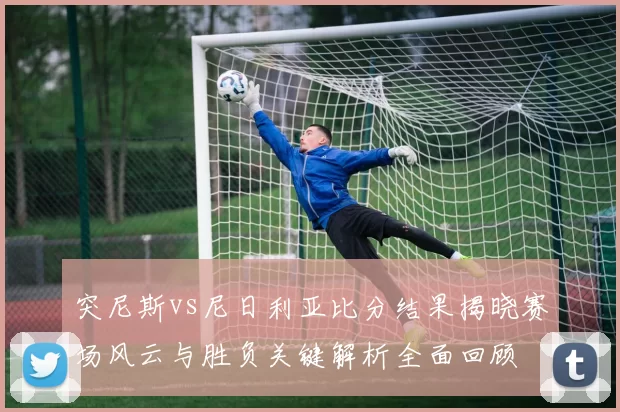 突尼斯vs尼日利亚比分结果揭晓赛场风云与胜负关键解析全面回顾
