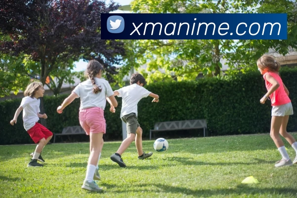 多媒体互动体验